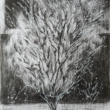 20.7x28.4, 2021