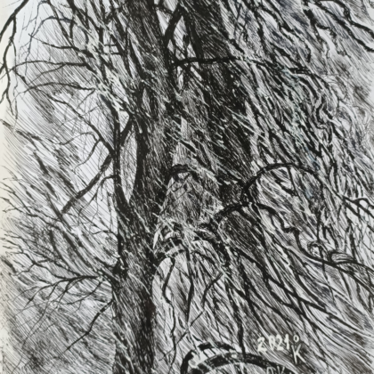 "Tree" drawing