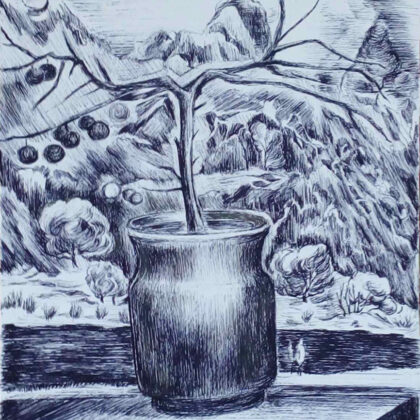 "Mountain flower" drawing