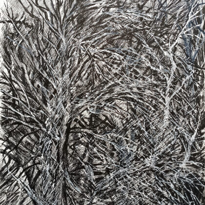 Tree branches. Autumn
